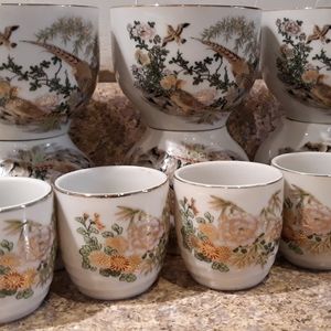 Beautiful Porcelain Saki Set / 11 Pieces